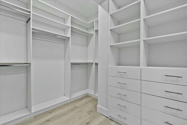 walk in closet featuring light wood-type flooring