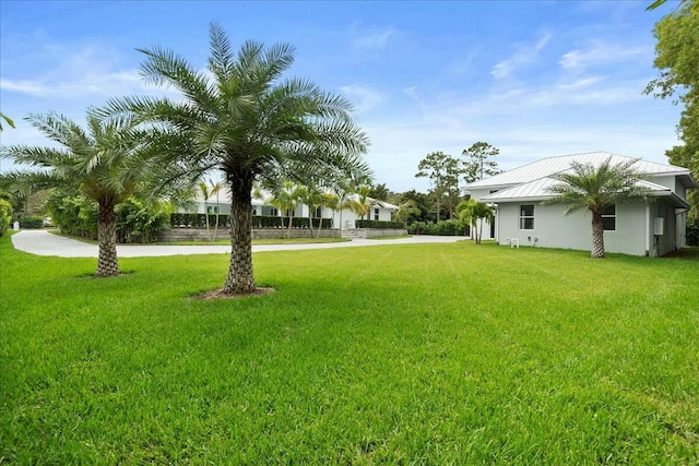 view of yard featuring driveway