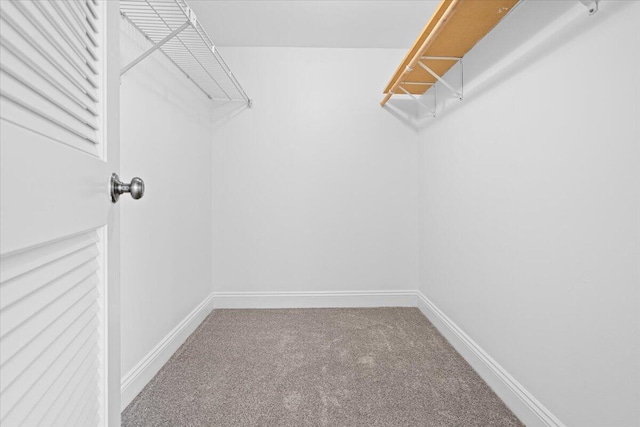 walk in closet with carpet