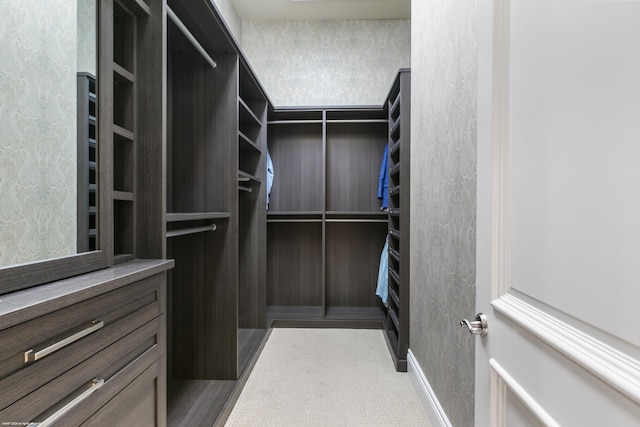 view of spacious closet