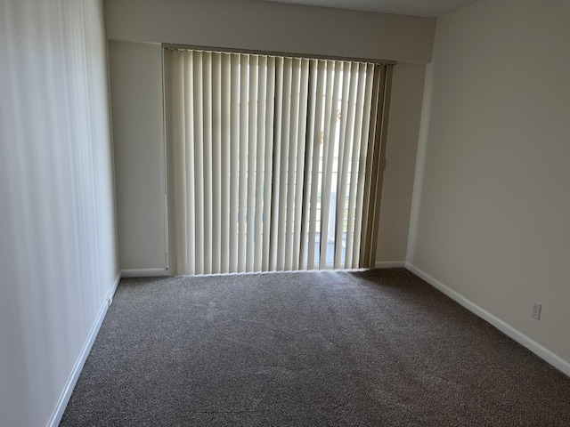 unfurnished room featuring carpet floors