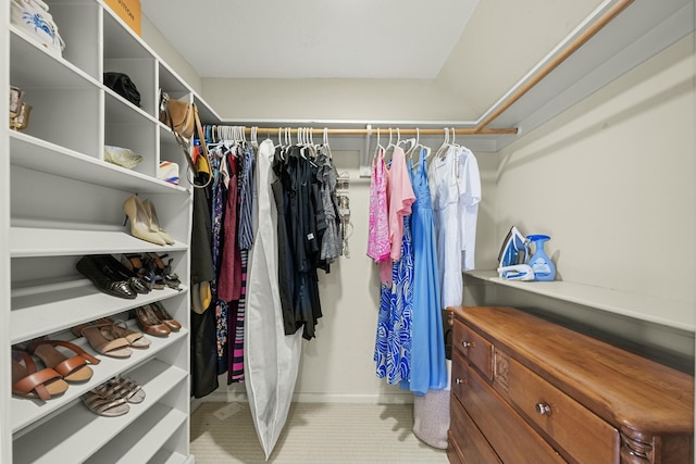 view of spacious closet