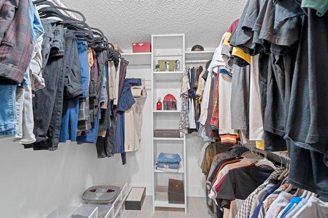 walk in closet with wood-type flooring