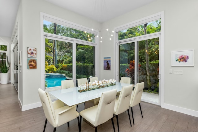 dining space featuring hardwood / wood-style flooring