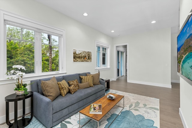 living room featuring hardwood / wood-style flooring