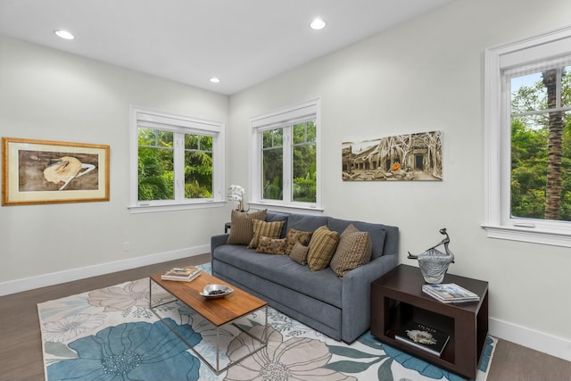 living room featuring hardwood / wood-style flooring