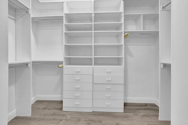 spacious closet featuring light wood-type flooring