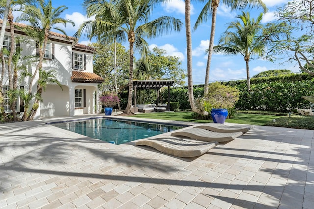 view of swimming pool featuring a patio area and a pergola