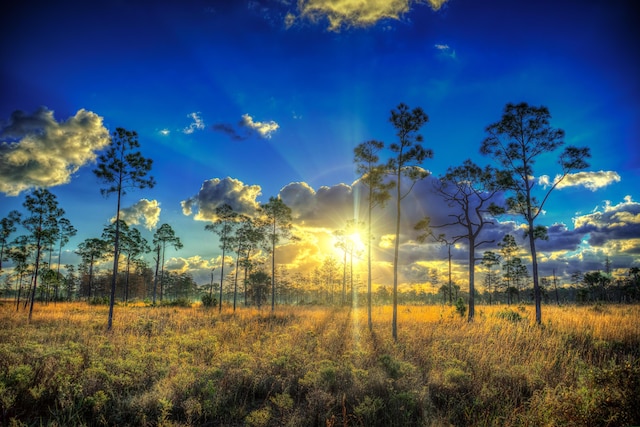 view of nature at dusk