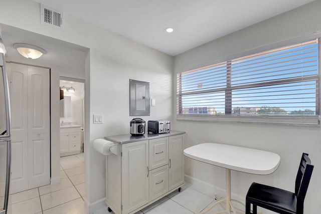 bathroom featuring tile patterned flooring, a healthy amount of sunlight, and electric panel