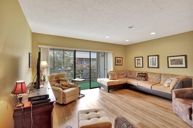 living room with light hardwood / wood-style floors and a textured ceiling