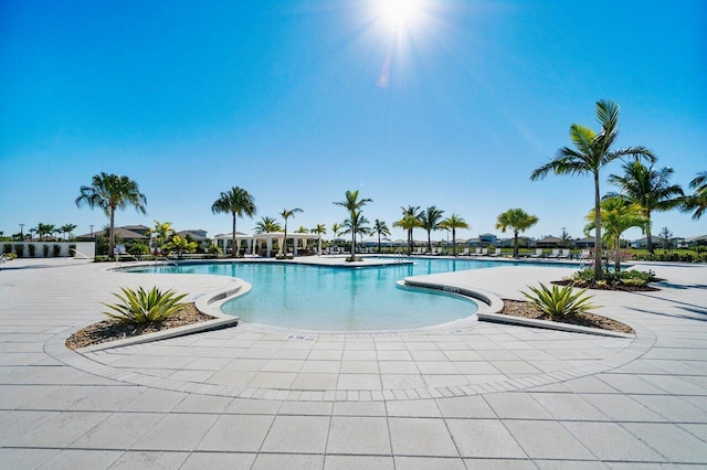 view of pool featuring a patio