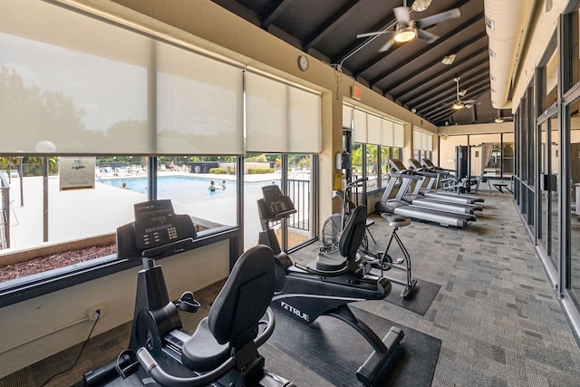 gym with carpet flooring, high vaulted ceiling, and ceiling fan