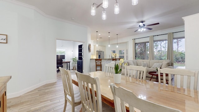 dining space with ceiling fan, light wood-type flooring, and crown molding