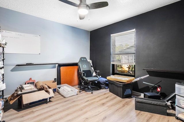 office featuring ceiling fan, light wood-type flooring, and a textured ceiling