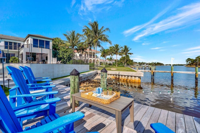 dock area with a water view