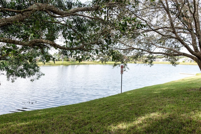 water view