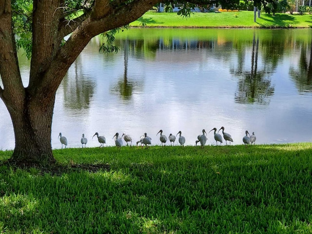 water view