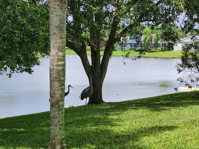 view of water feature