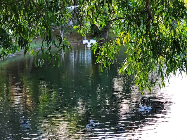 view of water feature