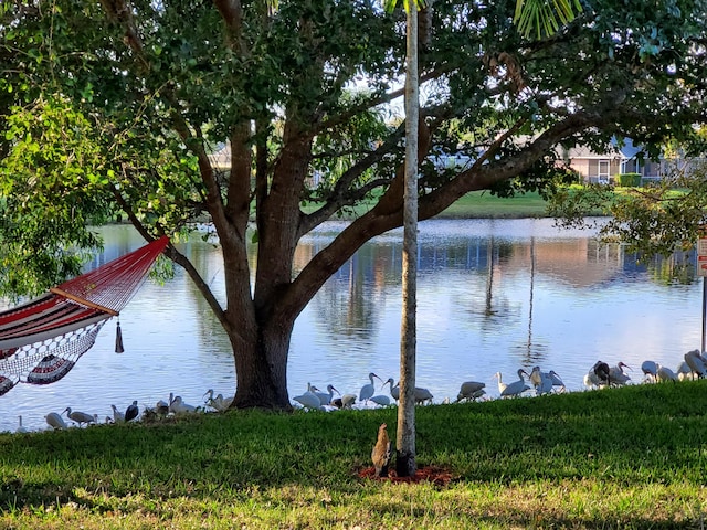 property view of water