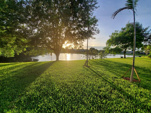 view of community with a yard and a water view