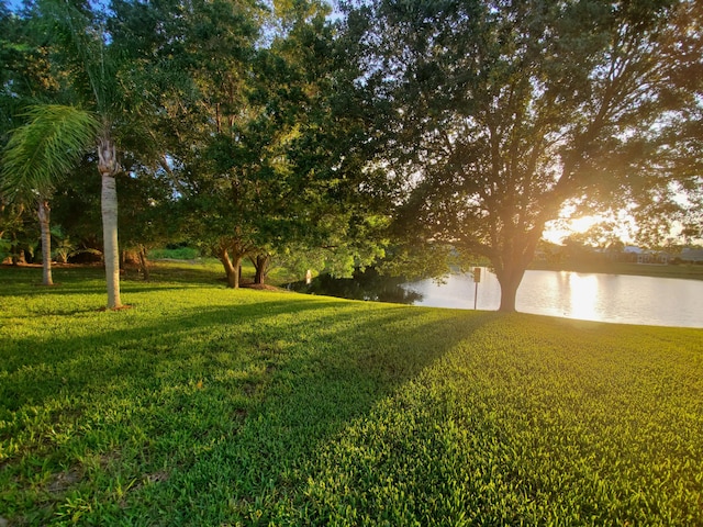 view of yard with a water view