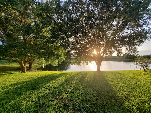 view of yard with a water view