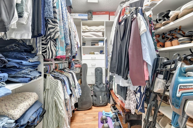 walk in closet with wood-type flooring