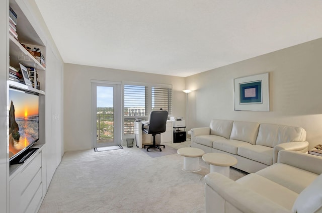 office area featuring light colored carpet