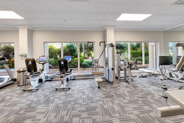 exercise room featuring light colored carpet and ornamental molding