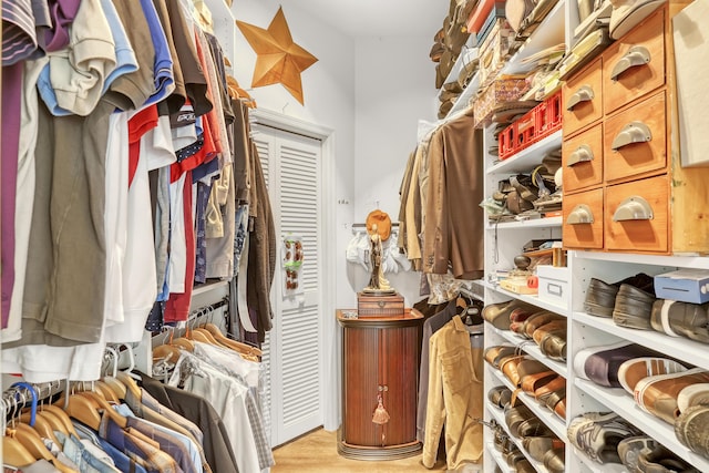 spacious closet with light hardwood / wood-style flooring