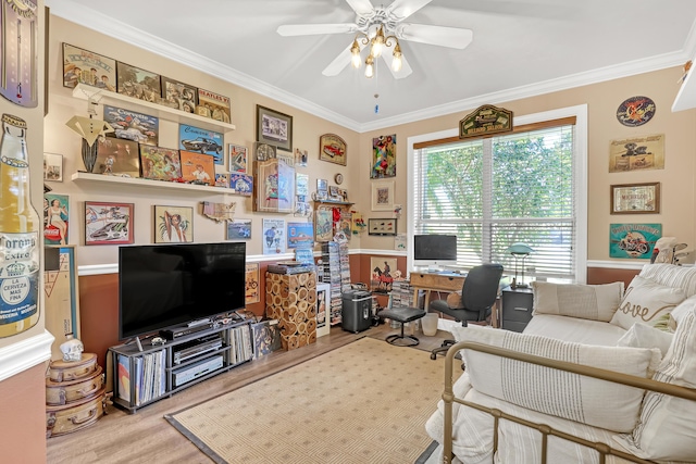 office featuring light hardwood / wood-style floors, ceiling fan, and ornamental molding