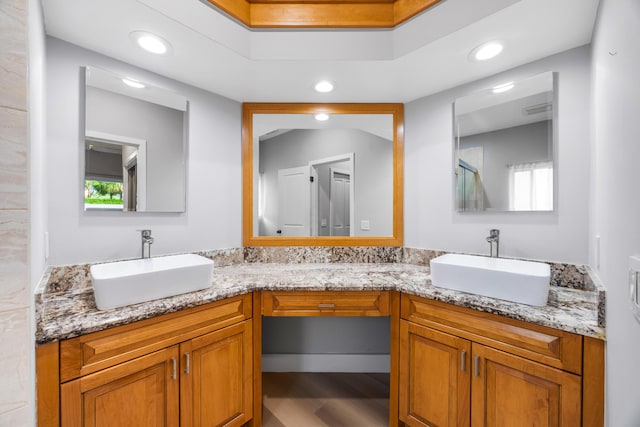 bathroom with wood-type flooring and vanity