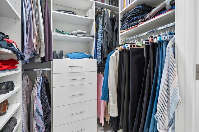 view of walk in closet