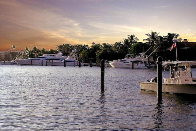 water view featuring a dock