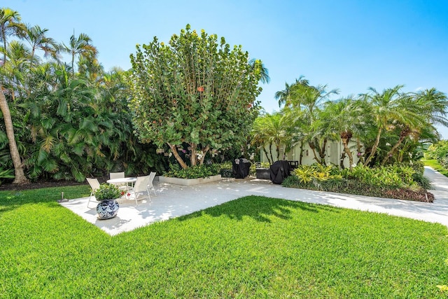 view of yard featuring a patio