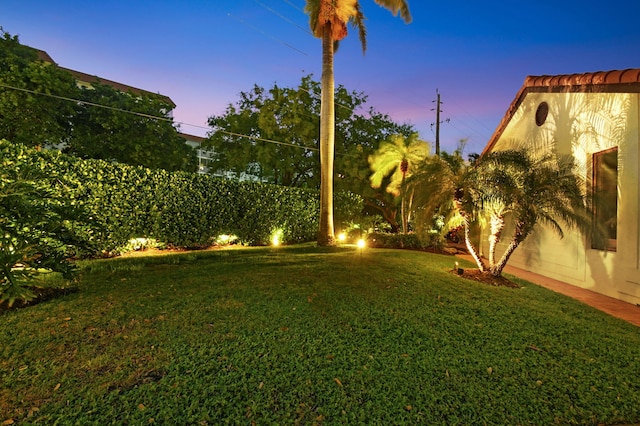 view of yard at dusk