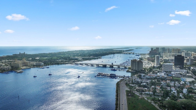 aerial view with a water view