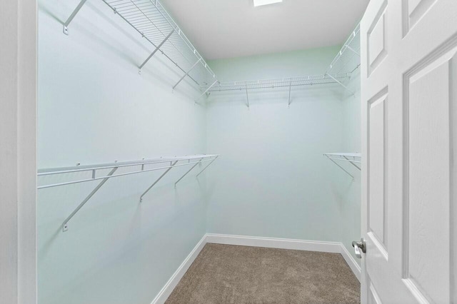 spacious closet with carpet floors