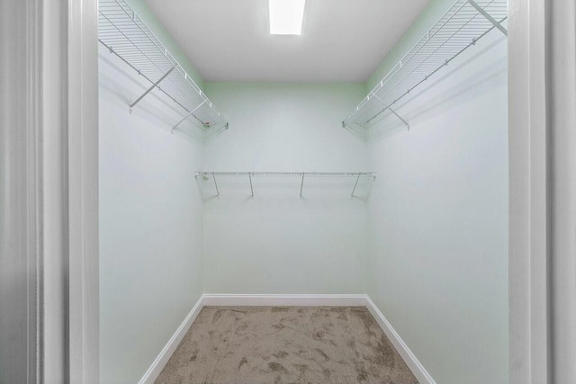 walk in closet featuring carpet floors