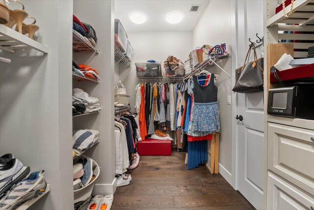 spacious closet featuring dark wood-type flooring