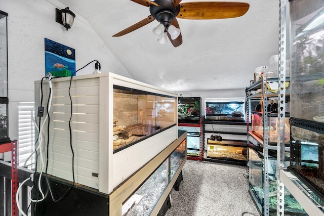 bedroom featuring ceiling fan, a textured ceiling, and vaulted ceiling