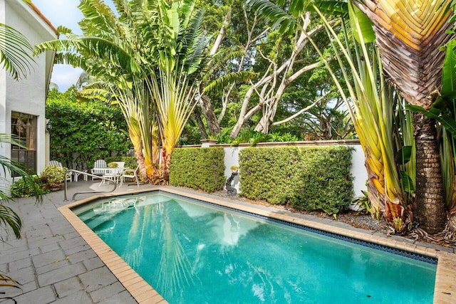 view of swimming pool with a patio area