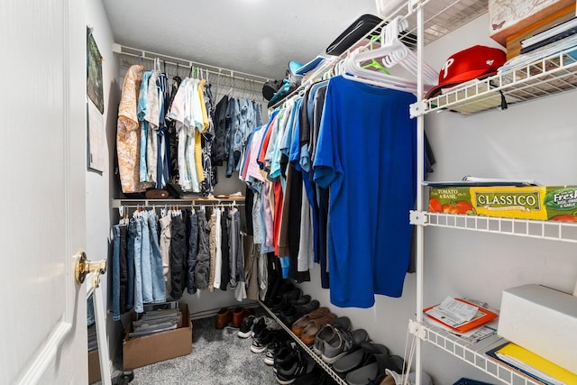 spacious closet with carpet