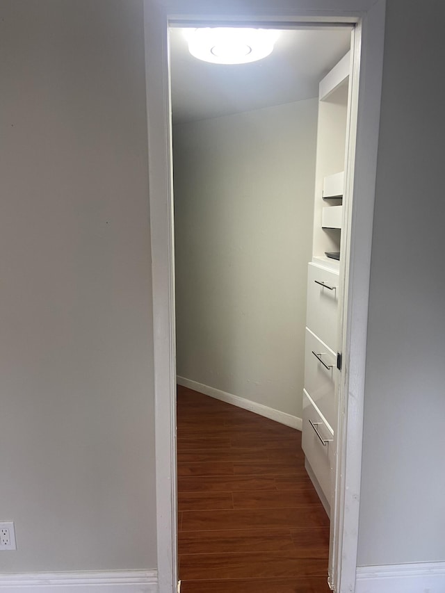 spacious closet with dark hardwood / wood-style floors