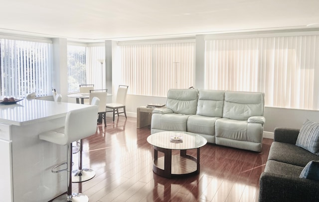 living room featuring hardwood / wood-style floors