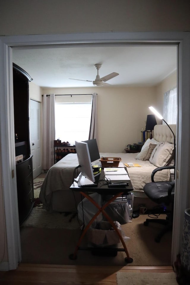 bedroom with multiple windows and ceiling fan