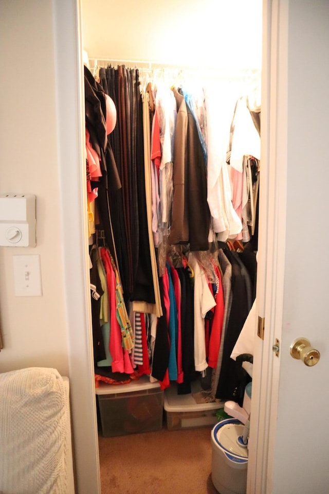 spacious closet featuring carpet