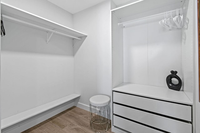 spacious closet featuring light hardwood / wood-style flooring